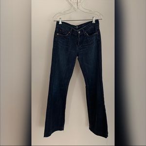 7 for all mankind Dojo Jean